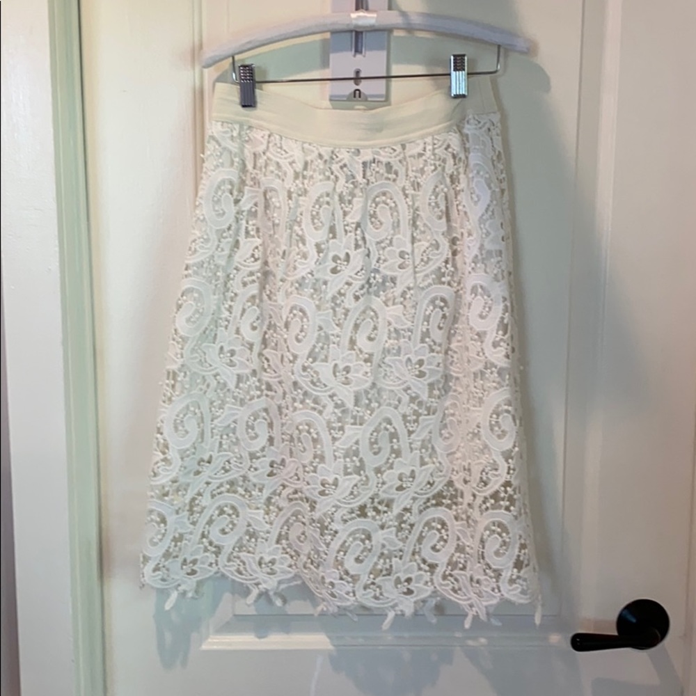 Ann Taylor skirt